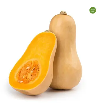 Gulf Fruit Pumpkin Local 1Piece