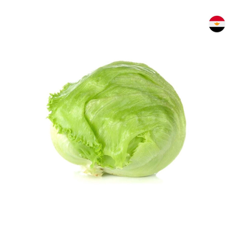 خس مصري أخضر 1قطعة