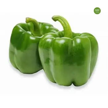 Tahdir Bak Capsicum Green local 500g