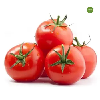 Tahdir Bak Tomato Local 1Kg