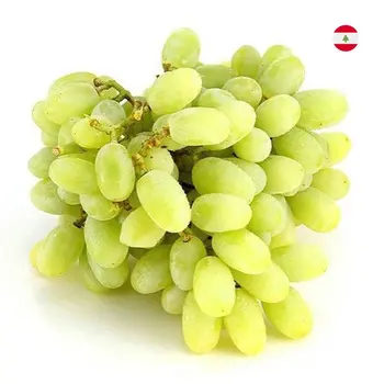 Al Zain Grapes White Lebanon 500g