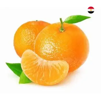 Al Zain Mandarin Egyption 1Kg