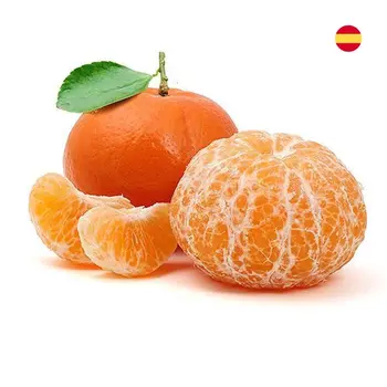 Al Zain Mandarin Spain 1Kg