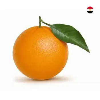 Al Zain Orange Valencia Egyption 1Kg