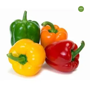 Capsicum Mix local 500 g - Durrat Janayen