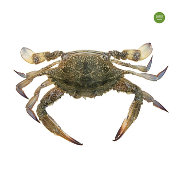 Fresh Local Crab 500g