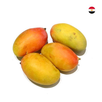 Themarona Mango Taimor Egypt 1Kg