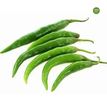 Hot Peppers Green Local 250 gm - Haseel