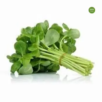 Haseel Rejla Local Bundle 1Piece