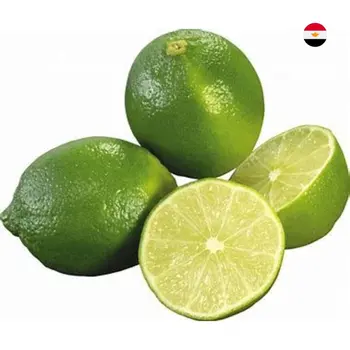Green Lemon Egyptian 1 Pack - Haseel