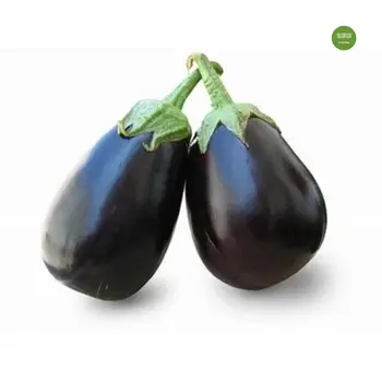 Eggplant Round Local 1 kg - Haseel