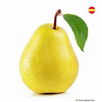 Pear Spain 1 kg - Haseel