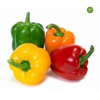 Capsicum Mix local 500 gm - Haseel