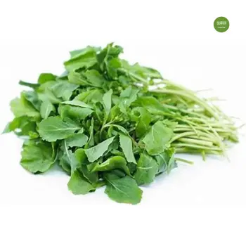 Haseel Arugula LocalBunch