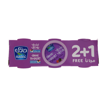 Nadec Mixed Berry Greek Yoghurt 3×160g