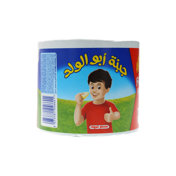 Regal Picon Triangle Portions Cheese 720G