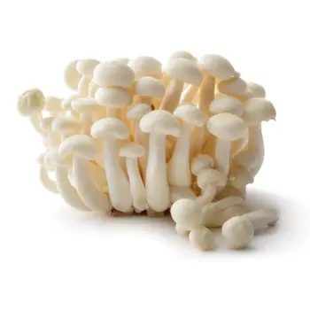 Mushroom Shemiji White 150g 1