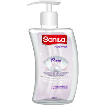 Sanita Pure Mist Hand Wash 250 ml