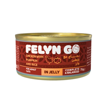 Felyngo Chicken Pumpkin Rice Cat Food 75g
