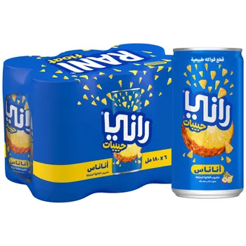 Rani Pineapple Float Beverage 6x180ml