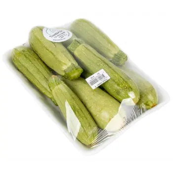 الدانوب كوسا صحن 1قطعة