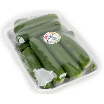 الدانوب خيار صحن 1قطعة