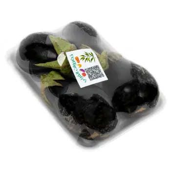 الدانوب باذنجان صحن 1قطعة