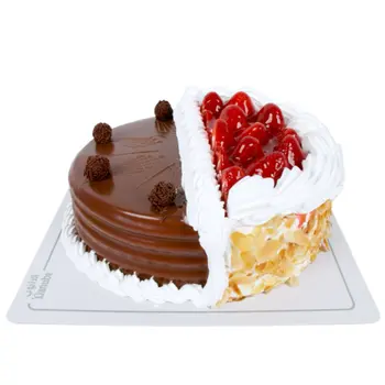 مخبز الدانوب كيكة البافانسيس 24سم