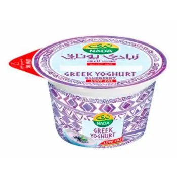 Nada Blueberry Greek Yoghurt 160g