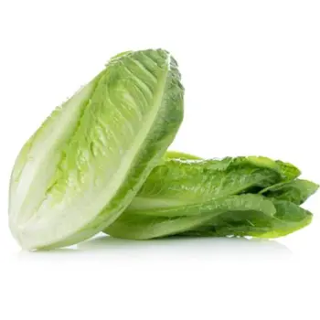 Lettuce Al Qassim Bundle 1Piece