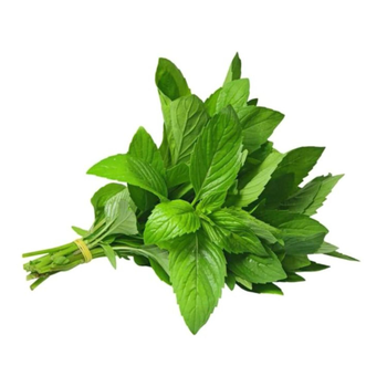 نعناع 1حزمة