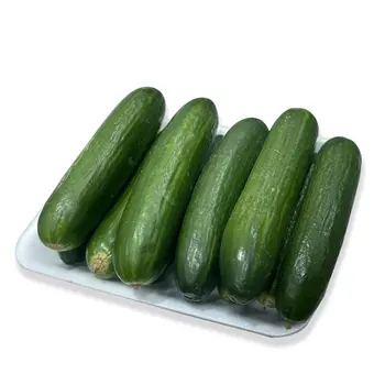 Fresh Cucumbers Loose