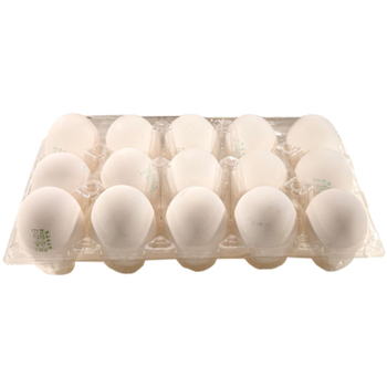 فريش جولد بيض بلدى طبق 15قطعة