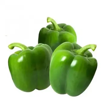 Green Bell Pepper 1kg