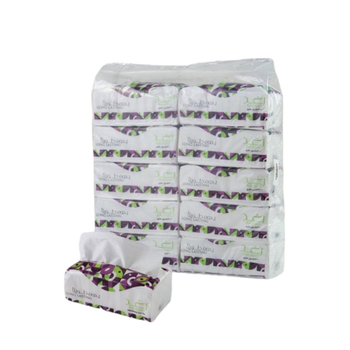 Raghad Tissue Sheets 300 Count
