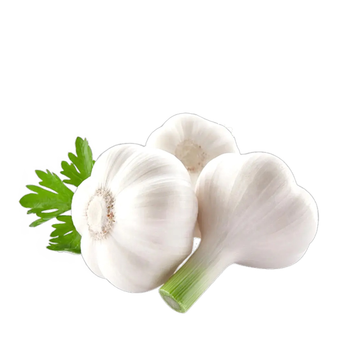 Fresh Garlic 1kg