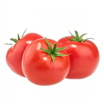 Red Tomatoes 1kg