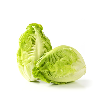 Little Gem Lettuce Spain 300g