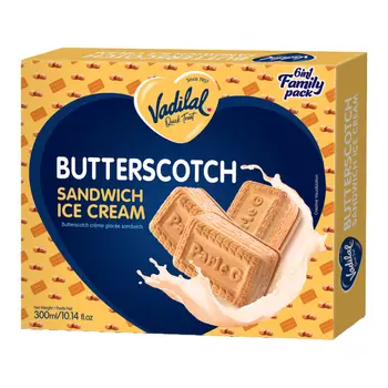 Vadilal Quick Treat Butterscotch Sandwich Ice Cream 300ml