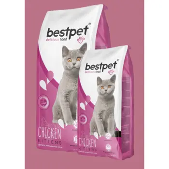 بست بيت طعام جاف للقطط الصغيرة بالدجاج 15كيلو