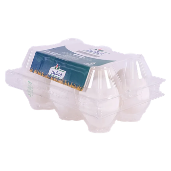 Freshies White Eggs 6Pieces