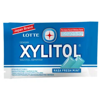 Lotte Sugar-Free Fresh Mint Xylitol Gum 11.6g