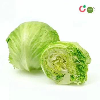 Al Zain Lettuce Iceberg Local 1Bunches