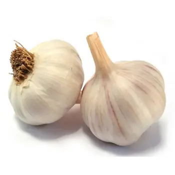 ثوم صغير 1كيلو