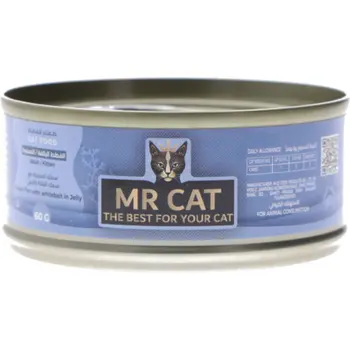 مستر كات سمك المحيط مع السمك الرنكة بالجيلي 60جرام