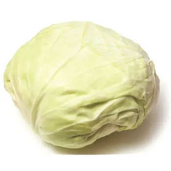 Fresh Cabbage Flat 500g