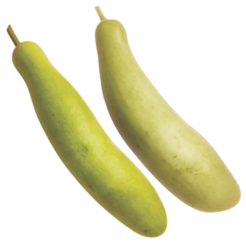 Green Long Pumpkin 500g