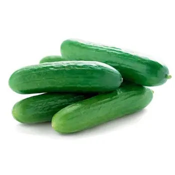 Fresh Cucumber 1Kg
