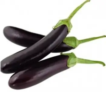 Eggplant Black Long (Kg)