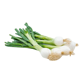 String Onion 1Bunch